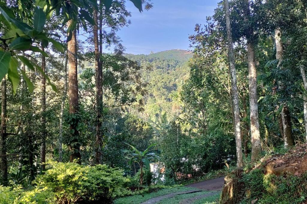 Coffee Camp Home Stay With Tree House Kattappana Eksteriør bilde