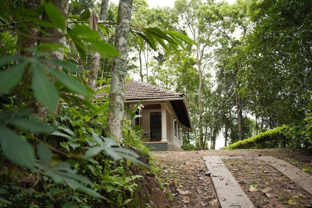 Coffee Camp Home Stay With Tree House Kattappana Eksteriør bilde