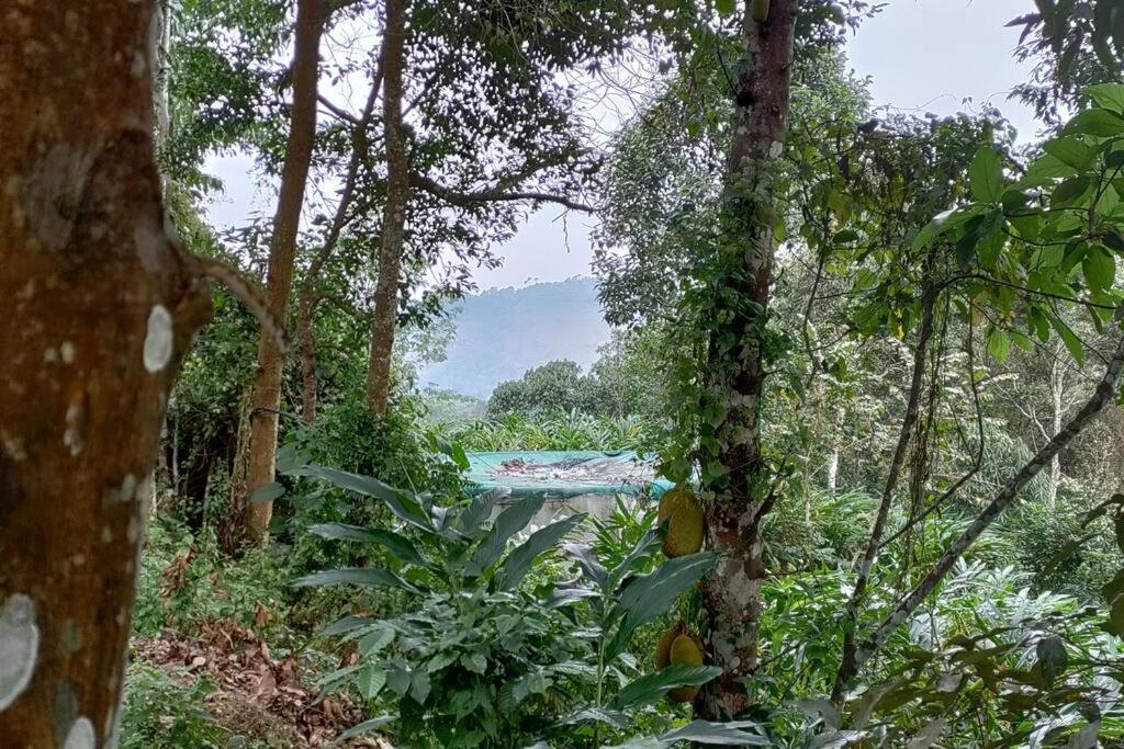 Coffee Camp Home Stay With Tree House Kattappana Eksteriør bilde