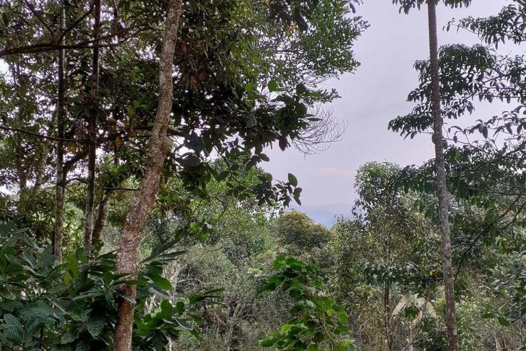 Coffee Camp Home Stay With Tree House Kattappana Eksteriør bilde