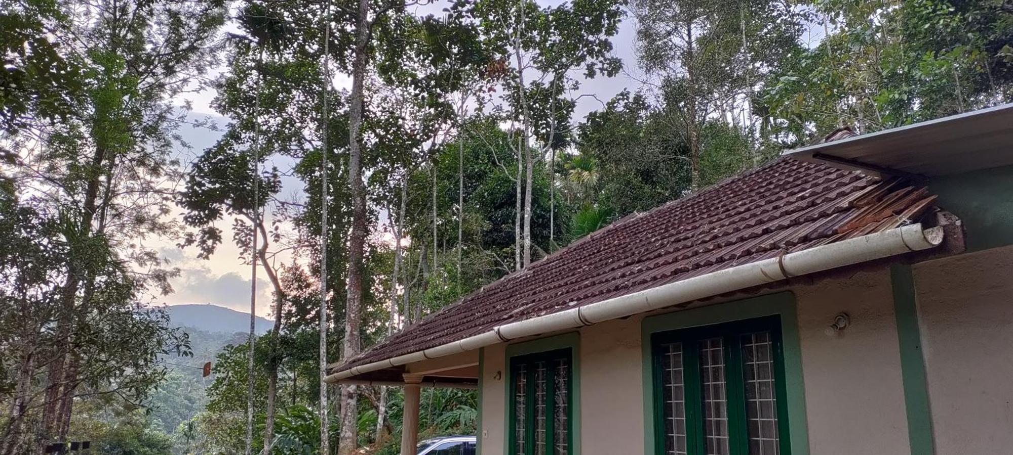 Coffee Camp Home Stay With Tree House Kattappana Eksteriør bilde