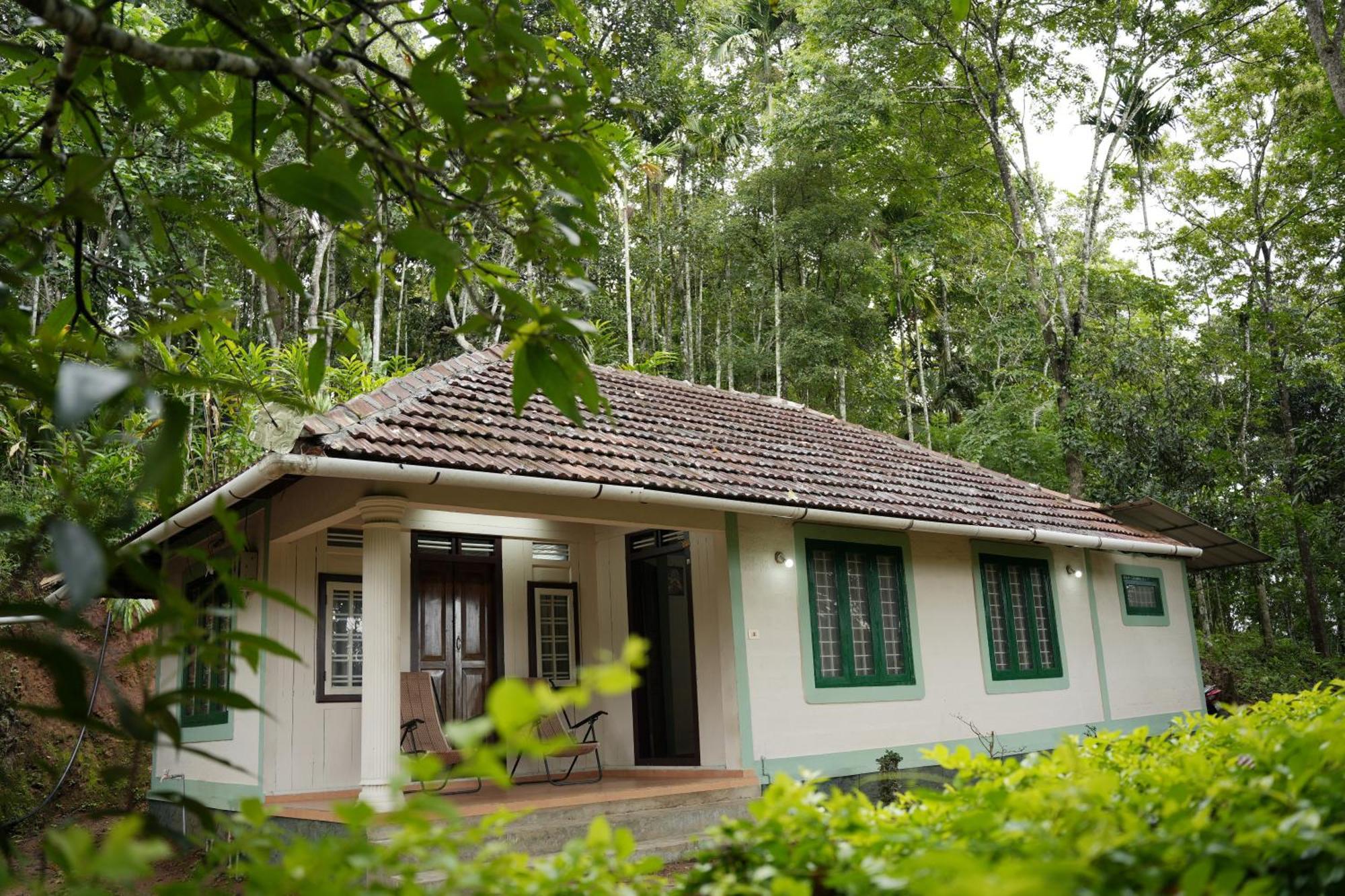 Coffee Camp Home Stay With Tree House Kattappana Eksteriør bilde