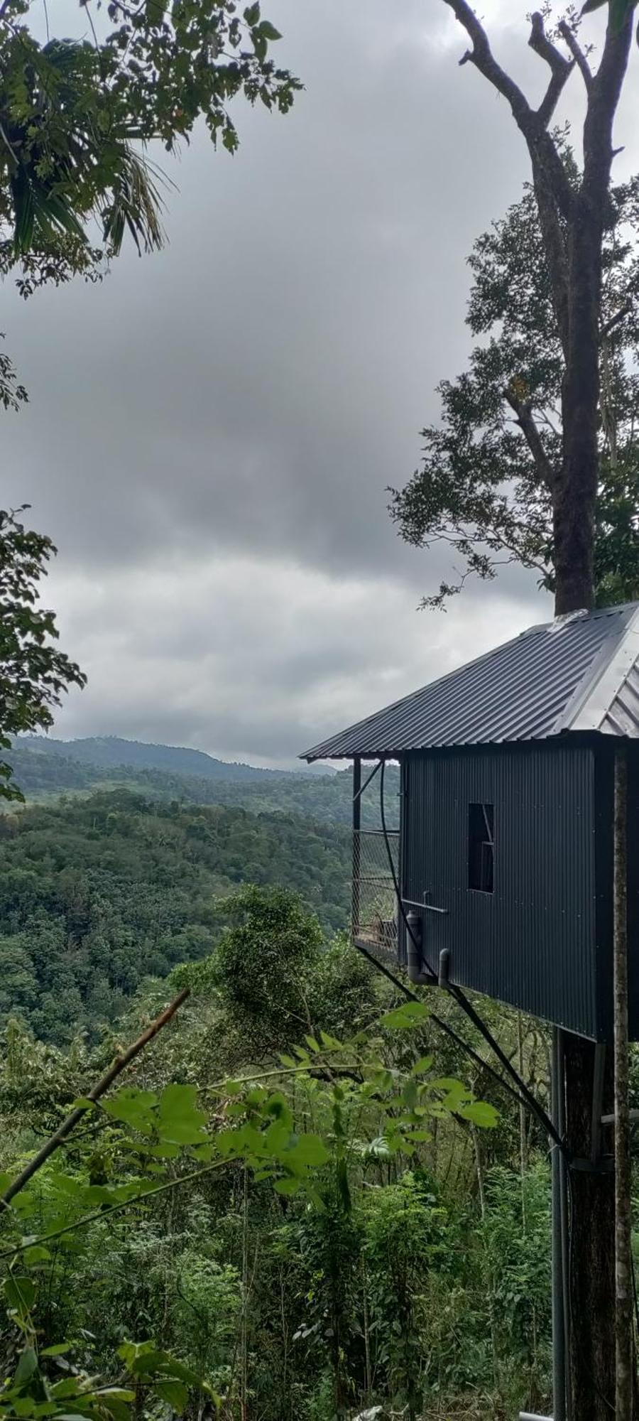 Coffee Camp Home Stay With Tree House Kattappana Eksteriør bilde