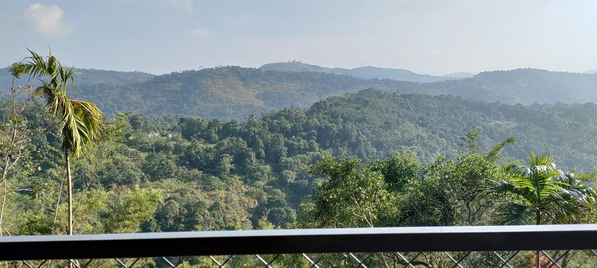 Coffee Camp Home Stay With Tree House Kattappana Eksteriør bilde